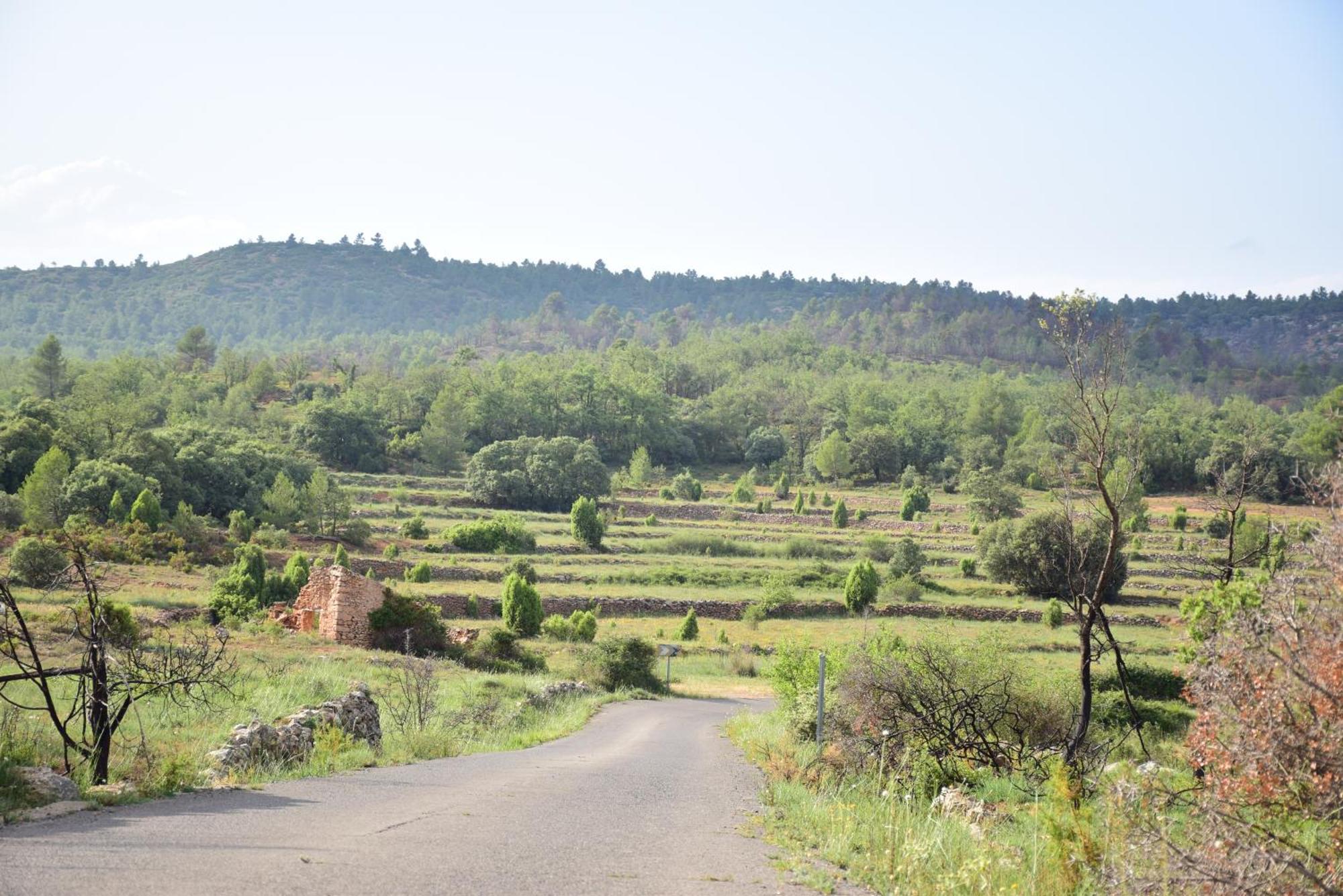 Villa Oasis Rural Los Pastores Esterno foto